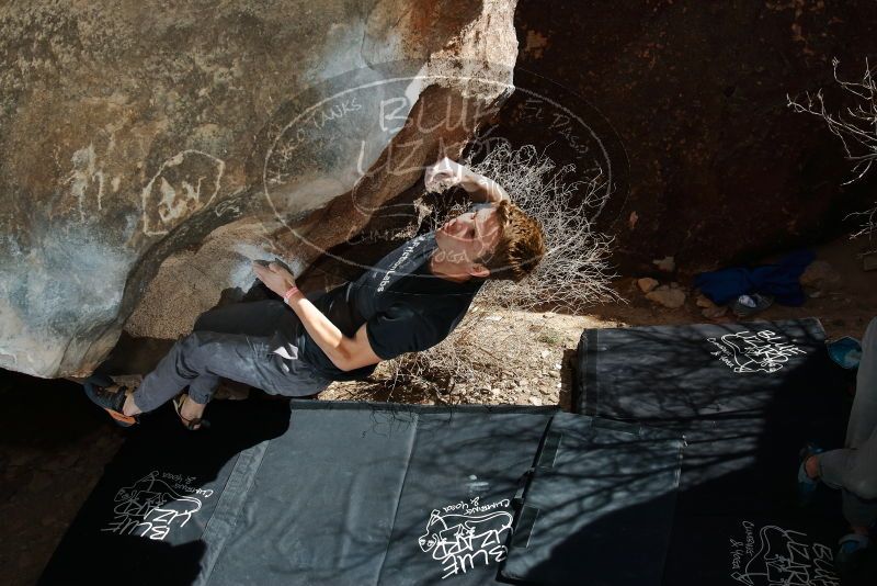 Bouldering in Hueco Tanks on 02/16/2020 with Blue Lizard Climbing and Yoga

Filename: SRM_20200216_1358260.jpg
Aperture: f/8.0
Shutter Speed: 1/250
Body: Canon EOS-1D Mark II
Lens: Canon EF 16-35mm f/2.8 L