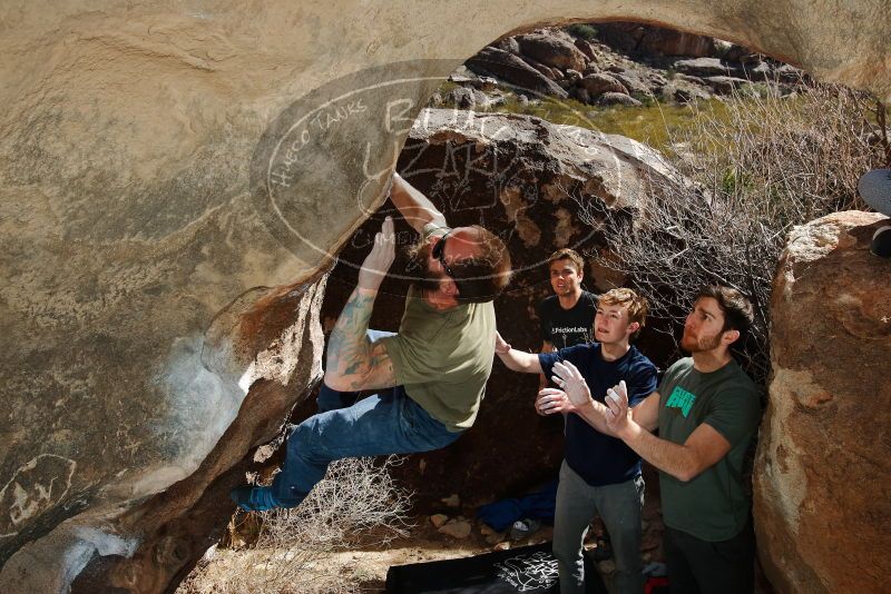 Bouldering in Hueco Tanks on 02/16/2020 with Blue Lizard Climbing and Yoga

Filename: SRM_20200216_1402160.jpg
Aperture: f/8.0
Shutter Speed: 1/250
Body: Canon EOS-1D Mark II
Lens: Canon EF 16-35mm f/2.8 L