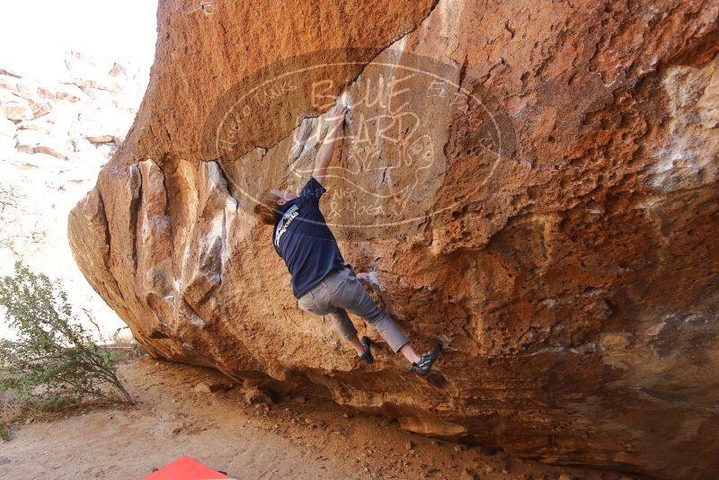 Bouldering in Hueco Tanks on 02/16/2020 with Blue Lizard Climbing and Yoga

Filename: SRM_20200216_1419420.jpg
Aperture: f/4.5
Shutter Speed: 1/250
Body: Canon EOS-1D Mark II
Lens: Canon EF 16-35mm f/2.8 L