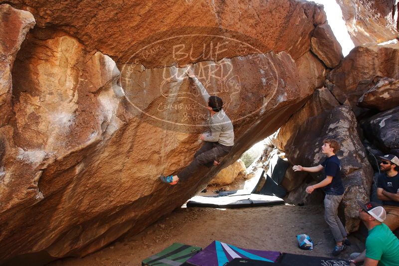 Bouldering in Hueco Tanks on 02/16/2020 with Blue Lizard Climbing and Yoga

Filename: SRM_20200216_1429290.jpg
Aperture: f/6.3
Shutter Speed: 1/250
Body: Canon EOS-1D Mark II
Lens: Canon EF 16-35mm f/2.8 L