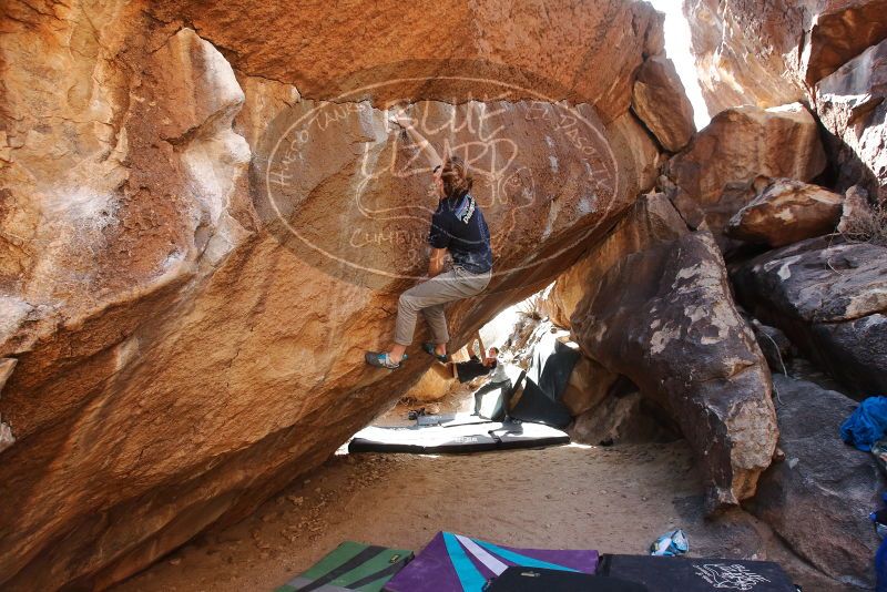 Bouldering in Hueco Tanks on 02/16/2020 with Blue Lizard Climbing and Yoga
Filename: SRM_20200216_1436510.jpg
Aperture: f/5.6
Shutter Speed: 1/250
Body: Canon EOS-1D Mark II
Lens: Canon EF 16-35mm f/2.8 L