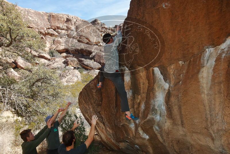 Bouldering in Hueco Tanks on 02/16/2020 with Blue Lizard Climbing and Yoga

Filename: SRM_20200216_1450200.jpg
Aperture: f/8.0
Shutter Speed: 1/250
Body: Canon EOS-1D Mark II
Lens: Canon EF 16-35mm f/2.8 L