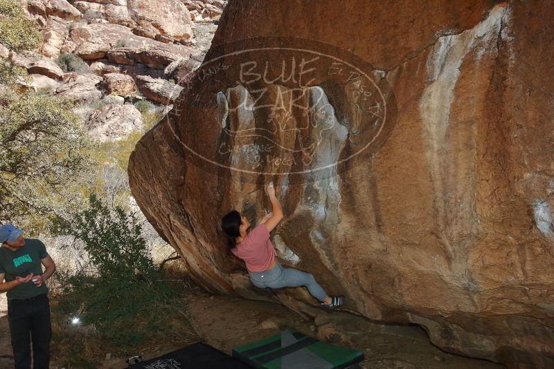 Bouldering in Hueco Tanks on 02/16/2020 with Blue Lizard Climbing and Yoga
Filename: SRM_20200216_1450580.jpg
Aperture: f/8.0
Shutter Speed: 1/250
Body: Canon EOS-1D Mark II
Lens: Canon EF 16-35mm f/2.8 L