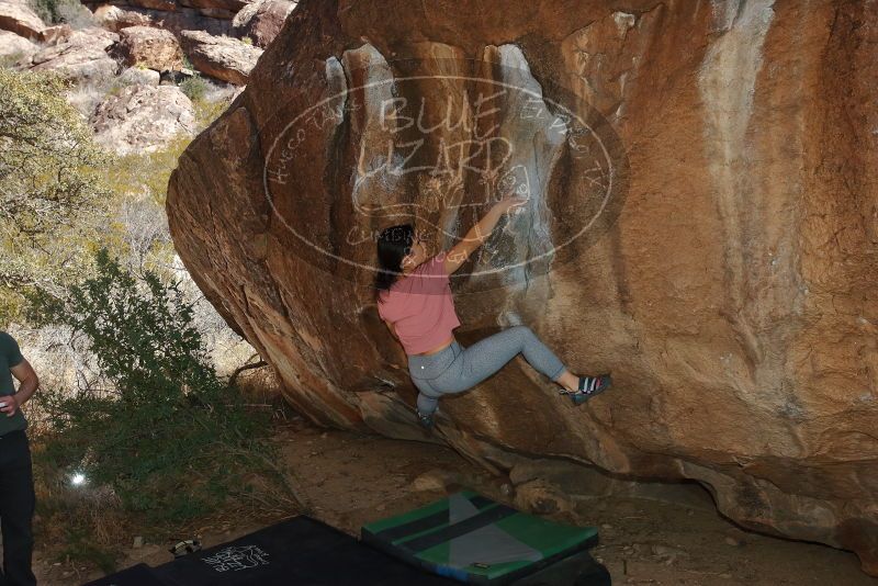 Bouldering in Hueco Tanks on 02/16/2020 with Blue Lizard Climbing and Yoga

Filename: SRM_20200216_1451020.jpg
Aperture: f/8.0
Shutter Speed: 1/250
Body: Canon EOS-1D Mark II
Lens: Canon EF 16-35mm f/2.8 L