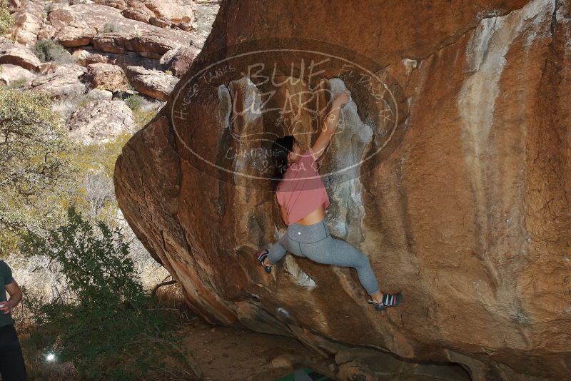 Bouldering in Hueco Tanks on 02/16/2020 with Blue Lizard Climbing and Yoga

Filename: SRM_20200216_1451090.jpg
Aperture: f/8.0
Shutter Speed: 1/250
Body: Canon EOS-1D Mark II
Lens: Canon EF 16-35mm f/2.8 L