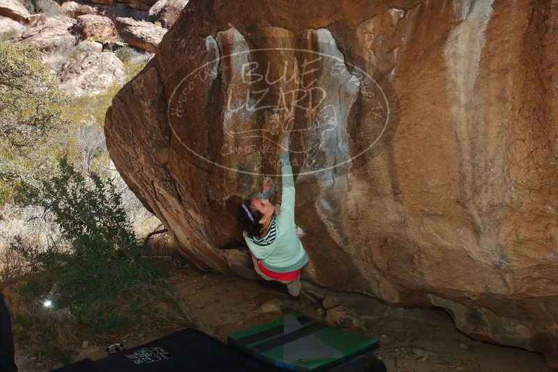 Bouldering in Hueco Tanks on 02/16/2020 with Blue Lizard Climbing and Yoga
Filename: SRM_20200216_1452160.jpg
Aperture: f/8.0
Shutter Speed: 1/250
Body: Canon EOS-1D Mark II
Lens: Canon EF 16-35mm f/2.8 L
