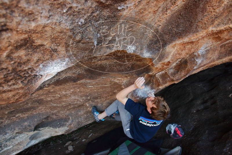 Bouldering in Hueco Tanks on 02/16/2020 with Blue Lizard Climbing and Yoga

Filename: SRM_20200216_1621260.jpg
Aperture: f/4.0
Shutter Speed: 1/250
Body: Canon EOS-1D Mark II
Lens: Canon EF 16-35mm f/2.8 L