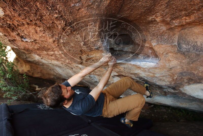 Bouldering in Hueco Tanks on 02/16/2020 with Blue Lizard Climbing and Yoga
Filename: SRM_20200216_1635570.jpg
Aperture: f/5.0
Shutter Speed: 1/250
Body: Canon EOS-1D Mark II
Lens: Canon EF 16-35mm f/2.8 L