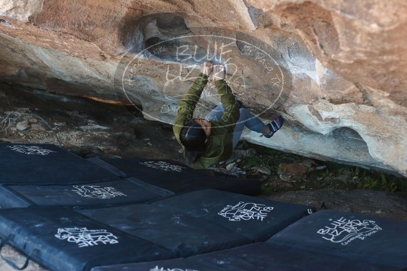 Bouldering in Hueco Tanks on 02/16/2020 with Blue Lizard Climbing and Yoga

Filename: SRM_20200216_1657130.jpg
Aperture: f/3.2
Shutter Speed: 1/250
Body: Canon EOS-1D Mark II
Lens: Canon EF 50mm f/1.8 II