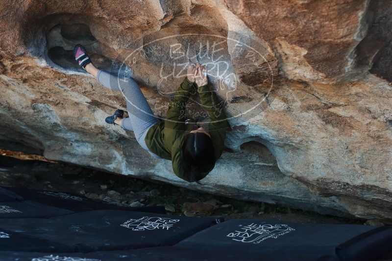 Bouldering in Hueco Tanks on 02/16/2020 with Blue Lizard Climbing and Yoga

Filename: SRM_20200216_1657180.jpg
Aperture: f/3.5
Shutter Speed: 1/250
Body: Canon EOS-1D Mark II
Lens: Canon EF 50mm f/1.8 II