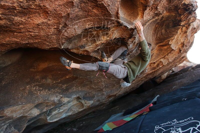 Bouldering in Hueco Tanks on 02/16/2020 with Blue Lizard Climbing and Yoga
Filename: SRM_20200216_1708070.jpg
Aperture: f/5.0
Shutter Speed: 1/250
Body: Canon EOS-1D Mark II
Lens: Canon EF 16-35mm f/2.8 L