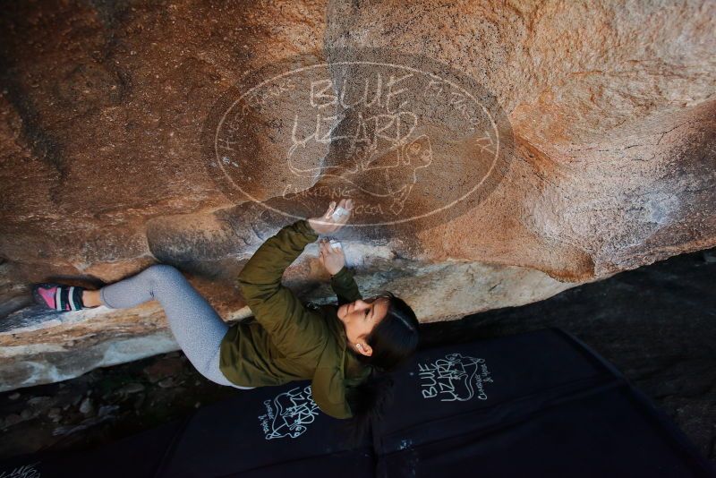 Bouldering in Hueco Tanks on 02/16/2020 with Blue Lizard Climbing and Yoga
Filename: SRM_20200216_1716410.jpg
Aperture: f/4.0
Shutter Speed: 1/250
Body: Canon EOS-1D Mark II
Lens: Canon EF 16-35mm f/2.8 L