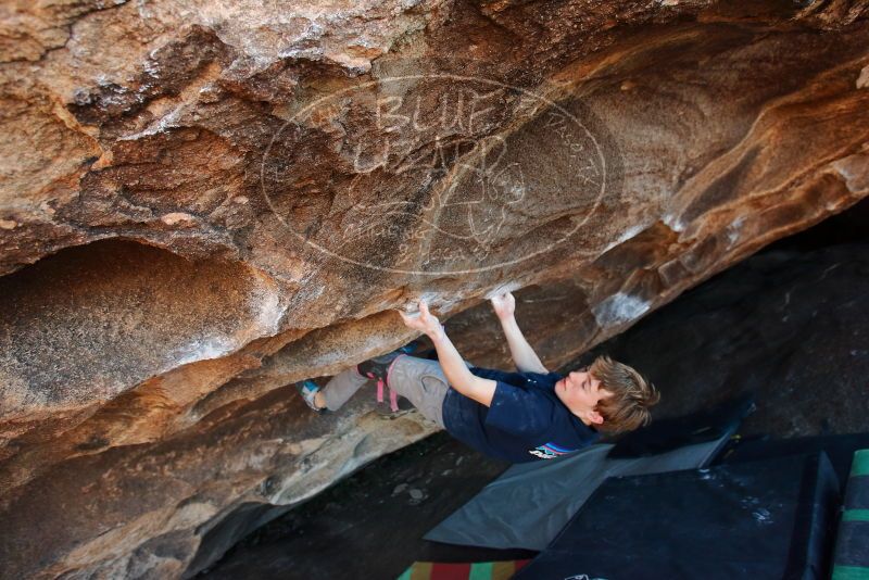 Bouldering in Hueco Tanks on 02/16/2020 with Blue Lizard Climbing and Yoga

Filename: SRM_20200216_1734160.jpg
Aperture: f/4.5
Shutter Speed: 1/250
Body: Canon EOS-1D Mark II
Lens: Canon EF 16-35mm f/2.8 L