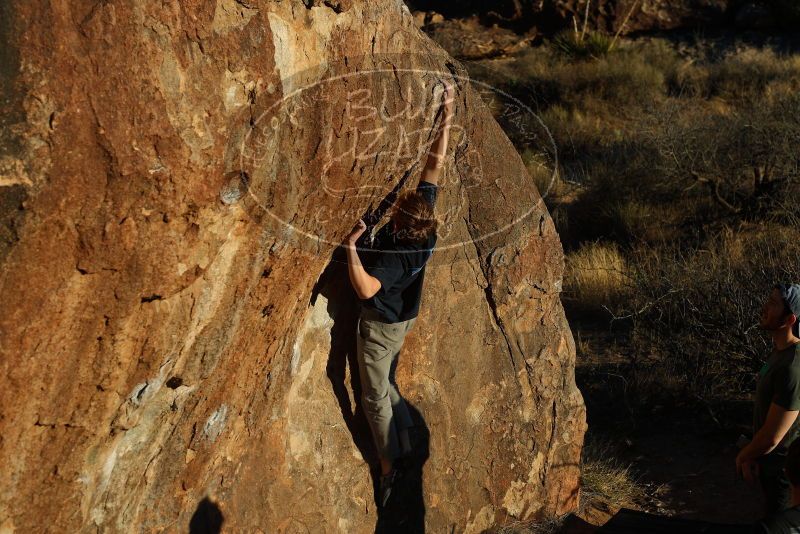 Bouldering in Hueco Tanks on 02/16/2020 with Blue Lizard Climbing and Yoga
Filename: SRM_20200216_1817510.jpg
Aperture: f/5.0
Shutter Speed: 1/400
Body: Canon EOS-1D Mark II
Lens: Canon EF 50mm f/1.8 II