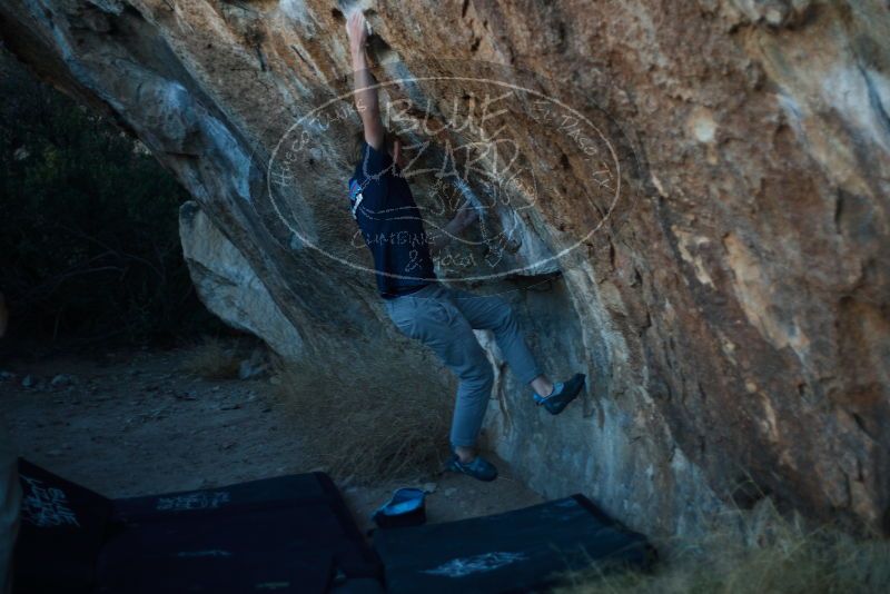 Bouldering in Hueco Tanks on 02/16/2020 with Blue Lizard Climbing and Yoga

Filename: SRM_20200216_1822130.jpg
Aperture: f/1.8
Shutter Speed: 1/200
Body: Canon EOS-1D Mark II
Lens: Canon EF 50mm f/1.8 II