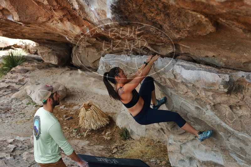 Bouldering in Hueco Tanks on 02/17/2020 with Blue Lizard Climbing and Yoga

Filename: SRM_20200217_1154360.jpg
Aperture: f/5.6
Shutter Speed: 1/250
Body: Canon EOS-1D Mark II
Lens: Canon EF 50mm f/1.8 II