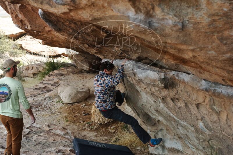 Bouldering in Hueco Tanks on 02/17/2020 with Blue Lizard Climbing and Yoga

Filename: SRM_20200217_1157200.jpg
Aperture: f/5.6
Shutter Speed: 1/250
Body: Canon EOS-1D Mark II
Lens: Canon EF 50mm f/1.8 II