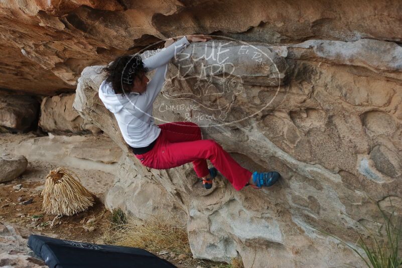Bouldering in Hueco Tanks on 02/17/2020 with Blue Lizard Climbing and Yoga
Filename: SRM_20200217_1200160.jpg
Aperture: f/4.0
Shutter Speed: 1/320
Body: Canon EOS-1D Mark II
Lens: Canon EF 50mm f/1.8 II