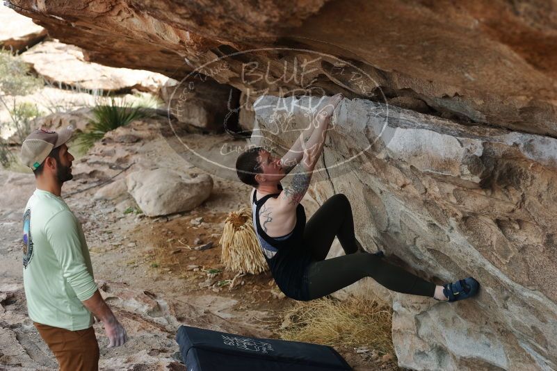 Bouldering in Hueco Tanks on 02/17/2020 with Blue Lizard Climbing and Yoga

Filename: SRM_20200217_1200540.jpg
Aperture: f/4.0
Shutter Speed: 1/320
Body: Canon EOS-1D Mark II
Lens: Canon EF 50mm f/1.8 II