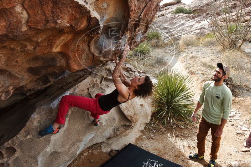 Bouldering in Hueco Tanks on 02/17/2020 with Blue Lizard Climbing and Yoga
Filename: SRM_20200217_1216230.jpg
Aperture: f/6.3
Shutter Speed: 1/250
Body: Canon EOS-1D Mark II
Lens: Canon EF 16-35mm f/2.8 L
