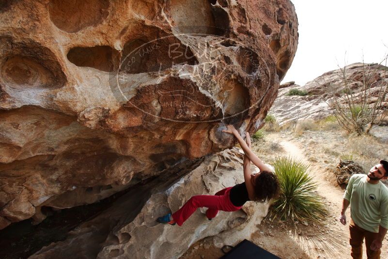 Bouldering in Hueco Tanks on 02/17/2020 with Blue Lizard Climbing and Yoga
Filename: SRM_20200217_1216300.jpg
Aperture: f/7.1
Shutter Speed: 1/250
Body: Canon EOS-1D Mark II
Lens: Canon EF 16-35mm f/2.8 L