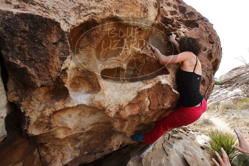 Bouldering in Hueco Tanks on 02/17/2020 with Blue Lizard Climbing and Yoga

Filename: SRM_20200217_1217120.jpg
Aperture: f/6.3
Shutter Speed: 1/250
Body: Canon EOS-1D Mark II
Lens: Canon EF 16-35mm f/2.8 L