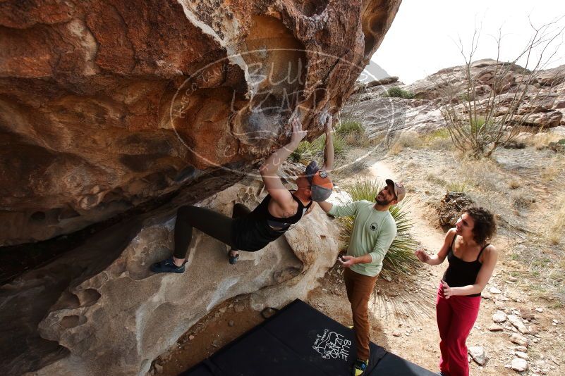 Bouldering in Hueco Tanks on 02/17/2020 with Blue Lizard Climbing and Yoga
Filename: SRM_20200217_1219500.jpg
Aperture: f/7.1
Shutter Speed: 1/250
Body: Canon EOS-1D Mark II
Lens: Canon EF 16-35mm f/2.8 L