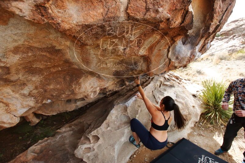 Bouldering in Hueco Tanks on 02/17/2020 with Blue Lizard Climbing and Yoga
Filename: SRM_20200217_1222550.jpg
Aperture: f/4.5
Shutter Speed: 1/250
Body: Canon EOS-1D Mark II
Lens: Canon EF 16-35mm f/2.8 L
