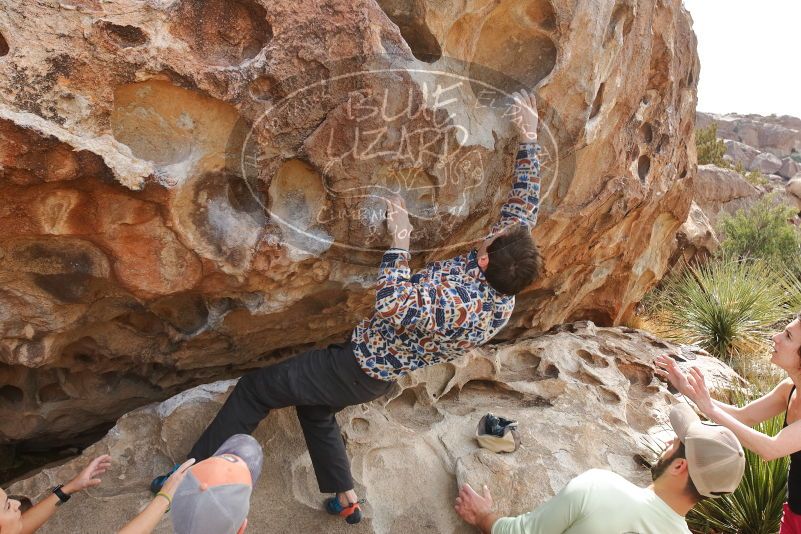 Bouldering in Hueco Tanks on 02/17/2020 with Blue Lizard Climbing and Yoga

Filename: SRM_20200217_1225350.jpg
Aperture: f/6.3
Shutter Speed: 1/250
Body: Canon EOS-1D Mark II
Lens: Canon EF 16-35mm f/2.8 L
