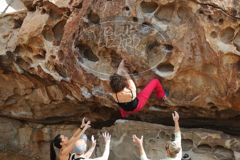 Bouldering in Hueco Tanks on 02/17/2020 with Blue Lizard Climbing and Yoga
Filename: SRM_20200217_1227560.jpg
Aperture: f/4.5
Shutter Speed: 1/400
Body: Canon EOS-1D Mark II
Lens: Canon EF 50mm f/1.8 II