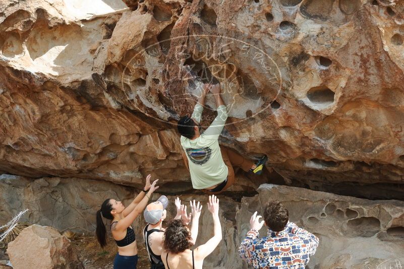 Bouldering in Hueco Tanks on 02/17/2020 with Blue Lizard Climbing and Yoga

Filename: SRM_20200217_1231530.jpg
Aperture: f/4.5
Shutter Speed: 1/400
Body: Canon EOS-1D Mark II
Lens: Canon EF 50mm f/1.8 II