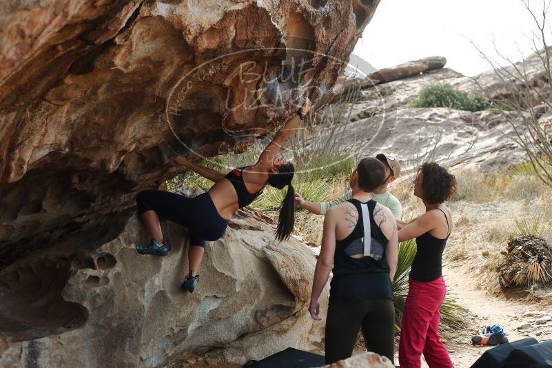 Bouldering in Hueco Tanks on 02/17/2020 with Blue Lizard Climbing and Yoga
Filename: SRM_20200217_1235530.jpg
Aperture: f/4.0
Shutter Speed: 1/400
Body: Canon EOS-1D Mark II
Lens: Canon EF 50mm f/1.8 II