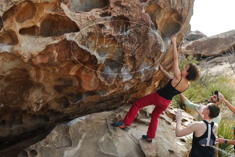 Bouldering in Hueco Tanks on 02/17/2020 with Blue Lizard Climbing and Yoga
Filename: SRM_20200217_1242230.jpg
Aperture: f/4.0
Shutter Speed: 1/400
Body: Canon EOS-1D Mark II
Lens: Canon EF 50mm f/1.8 II