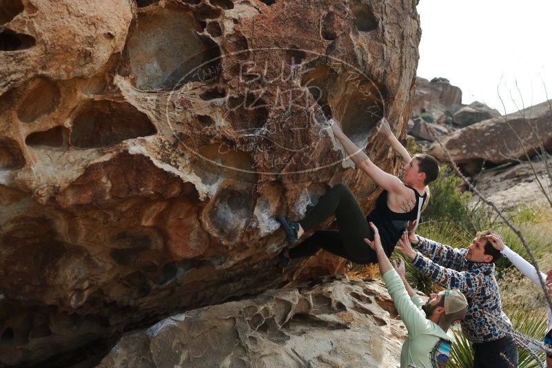 Bouldering in Hueco Tanks on 02/17/2020 with Blue Lizard Climbing and Yoga

Filename: SRM_20200217_1253490.jpg
Aperture: f/4.5
Shutter Speed: 1/400
Body: Canon EOS-1D Mark II
Lens: Canon EF 50mm f/1.8 II