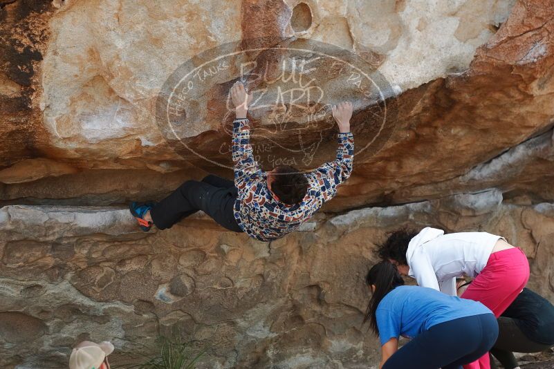 Bouldering in Hueco Tanks on 02/17/2020 with Blue Lizard Climbing and Yoga

Filename: SRM_20200217_1302280.jpg
Aperture: f/3.5
Shutter Speed: 1/400
Body: Canon EOS-1D Mark II
Lens: Canon EF 50mm f/1.8 II