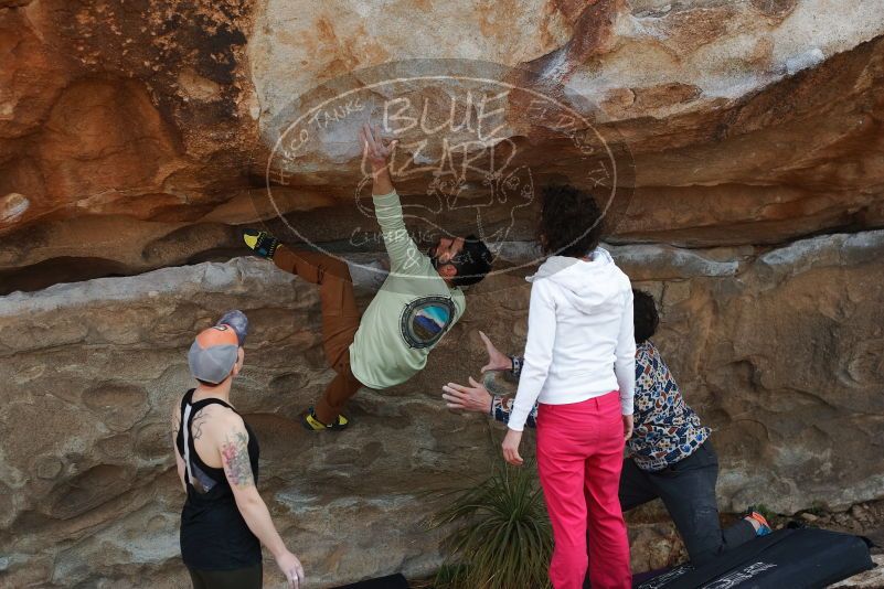 Bouldering in Hueco Tanks on 02/17/2020 with Blue Lizard Climbing and Yoga
Filename: SRM_20200217_1310060.jpg
Aperture: f/4.0
Shutter Speed: 1/400
Body: Canon EOS-1D Mark II
Lens: Canon EF 50mm f/1.8 II