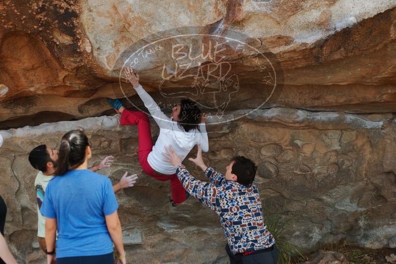 Bouldering in Hueco Tanks on 02/17/2020 with Blue Lizard Climbing and Yoga
Filename: SRM_20200217_1312080.jpg
Aperture: f/4.0
Shutter Speed: 1/400
Body: Canon EOS-1D Mark II
Lens: Canon EF 50mm f/1.8 II