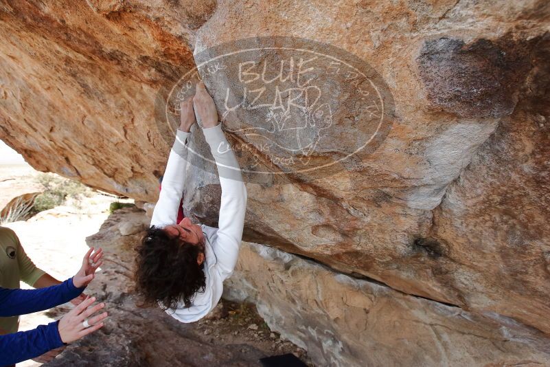 Bouldering in Hueco Tanks on 02/17/2020 with Blue Lizard Climbing and Yoga
Filename: SRM_20200217_1401570.jpg
Aperture: f/5.6
Shutter Speed: 1/400
Body: Canon EOS-1D Mark II
Lens: Canon EF 16-35mm f/2.8 L