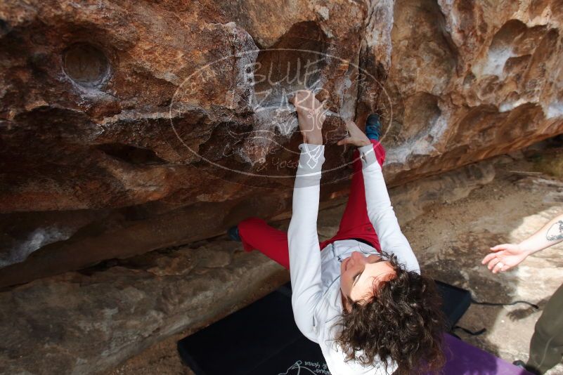 Bouldering in Hueco Tanks on 02/17/2020 with Blue Lizard Climbing and Yoga

Filename: SRM_20200217_1429040.jpg
Aperture: f/7.1
Shutter Speed: 1/400
Body: Canon EOS-1D Mark II
Lens: Canon EF 16-35mm f/2.8 L