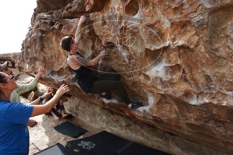 Bouldering in Hueco Tanks on 02/17/2020 with Blue Lizard Climbing and Yoga
Filename: SRM_20200217_1433420.jpg
Aperture: f/7.1
Shutter Speed: 1/250
Body: Canon EOS-1D Mark II
Lens: Canon EF 16-35mm f/2.8 L