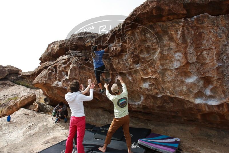 Bouldering in Hueco Tanks on 02/17/2020 with Blue Lizard Climbing and Yoga

Filename: SRM_20200217_1436280.jpg
Aperture: f/8.0
Shutter Speed: 1/320
Body: Canon EOS-1D Mark II
Lens: Canon EF 16-35mm f/2.8 L