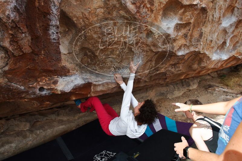 Bouldering in Hueco Tanks on 02/17/2020 with Blue Lizard Climbing and Yoga

Filename: SRM_20200217_1444380.jpg
Aperture: f/5.6
Shutter Speed: 1/400
Body: Canon EOS-1D Mark II
Lens: Canon EF 16-35mm f/2.8 L