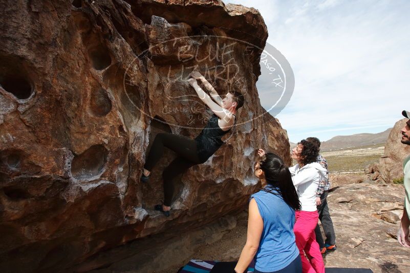 Bouldering in Hueco Tanks on 02/17/2020 with Blue Lizard Climbing and Yoga

Filename: SRM_20200217_1447130.jpg
Aperture: f/8.0
Shutter Speed: 1/400
Body: Canon EOS-1D Mark II
Lens: Canon EF 16-35mm f/2.8 L