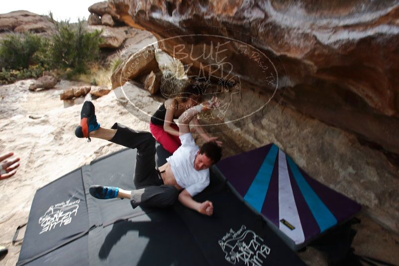 Bouldering in Hueco Tanks on 02/17/2020 with Blue Lizard Climbing and Yoga
Filename: SRM_20200217_1505360.jpg
Aperture: f/7.1
Shutter Speed: 1/320
Body: Canon EOS-1D Mark II
Lens: Canon EF 16-35mm f/2.8 L