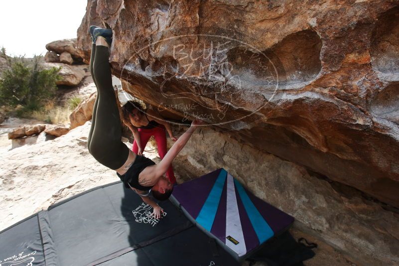 Bouldering in Hueco Tanks on 02/17/2020 with Blue Lizard Climbing and Yoga

Filename: SRM_20200217_1509570.jpg
Aperture: f/6.3
Shutter Speed: 1/320
Body: Canon EOS-1D Mark II
Lens: Canon EF 16-35mm f/2.8 L
