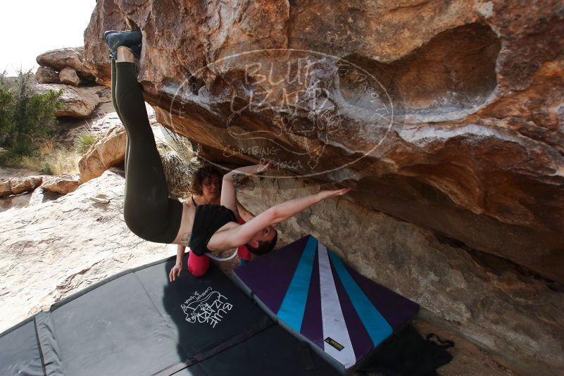 Bouldering in Hueco Tanks on 02/17/2020 with Blue Lizard Climbing and Yoga

Filename: SRM_20200217_1510050.jpg
Aperture: f/6.3
Shutter Speed: 1/320
Body: Canon EOS-1D Mark II
Lens: Canon EF 16-35mm f/2.8 L