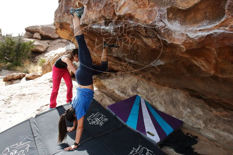 Bouldering in Hueco Tanks on 02/17/2020 with Blue Lizard Climbing and Yoga

Filename: SRM_20200217_1511010.jpg
Aperture: f/5.6
Shutter Speed: 1/320
Body: Canon EOS-1D Mark II
Lens: Canon EF 16-35mm f/2.8 L