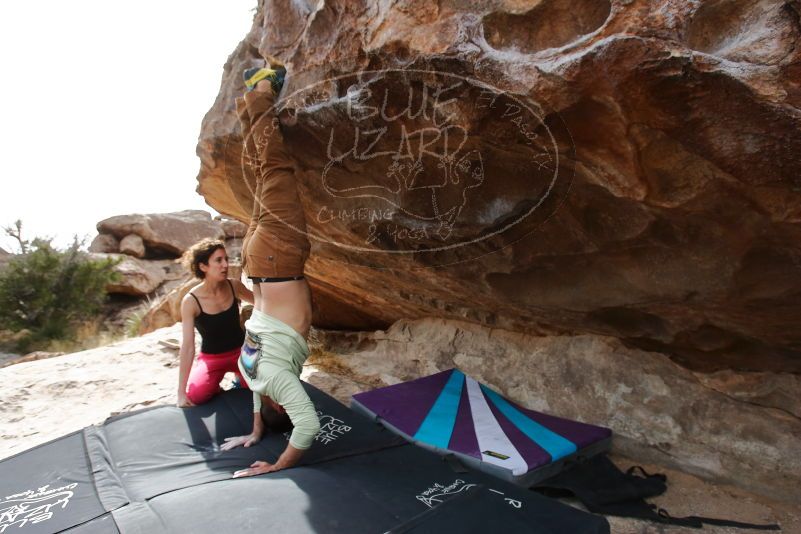 Bouldering in Hueco Tanks on 02/17/2020 with Blue Lizard Climbing and Yoga

Filename: SRM_20200217_1512310.jpg
Aperture: f/5.6
Shutter Speed: 1/320
Body: Canon EOS-1D Mark II
Lens: Canon EF 16-35mm f/2.8 L