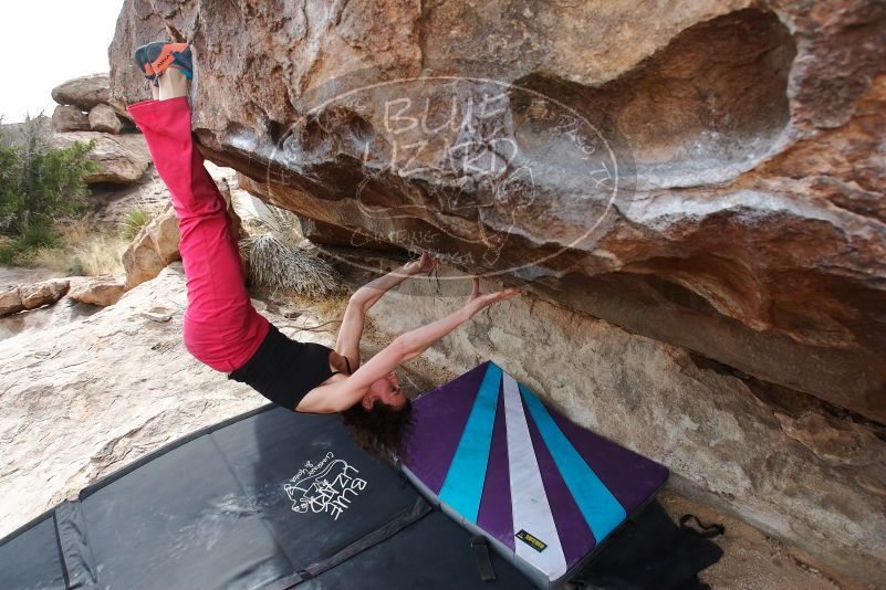 Bouldering in Hueco Tanks on 02/17/2020 with Blue Lizard Climbing and Yoga

Filename: SRM_20200217_1513560.jpg
Aperture: f/4.5
Shutter Speed: 1/320
Body: Canon EOS-1D Mark II
Lens: Canon EF 16-35mm f/2.8 L
