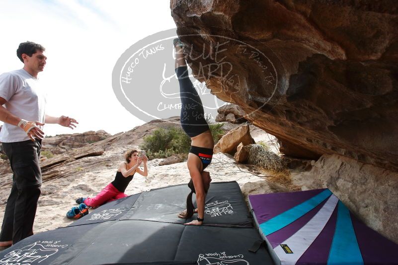 Bouldering in Hueco Tanks on 02/17/2020 with Blue Lizard Climbing and Yoga
Filename: SRM_20200217_1516220.jpg
Aperture: f/5.6
Shutter Speed: 1/320
Body: Canon EOS-1D Mark II
Lens: Canon EF 16-35mm f/2.8 L